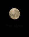 Full moon.jpg (10094 bytes)